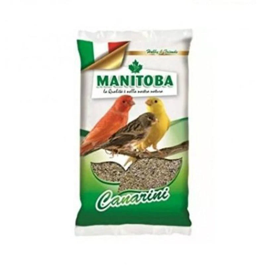 CANARINI DU MANITOBA 1 KG