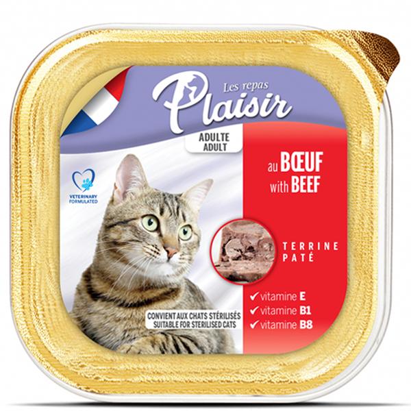 BARQUETTE PLAISIR - 100 G