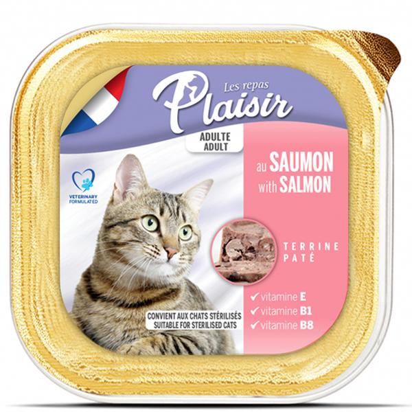 BARQUETTE PLAISIR - 100 G