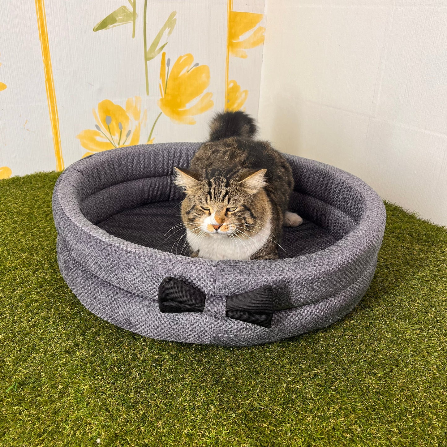 PANIER ROND AVEC PAPILLON POUR CHAT OU CHIEN