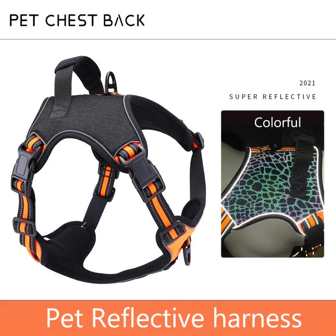 HARNAIS POUR CHIEN