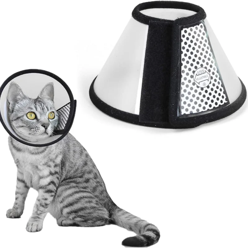 CARCAN POUR CHAT ET CHIEN