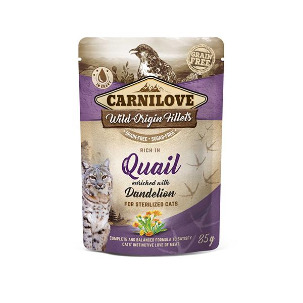 CARNILOVE - CHAT - SNACK