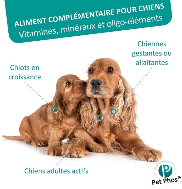 PETPHOS – CROISSANCE Ca/P : 1,3