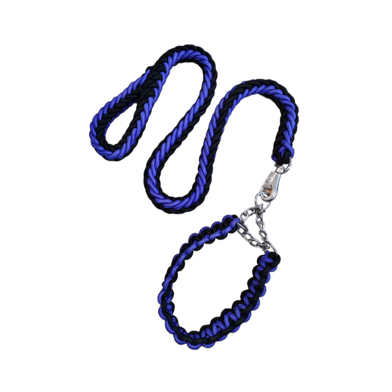 Laisse avec Collier pour Grand Chien
