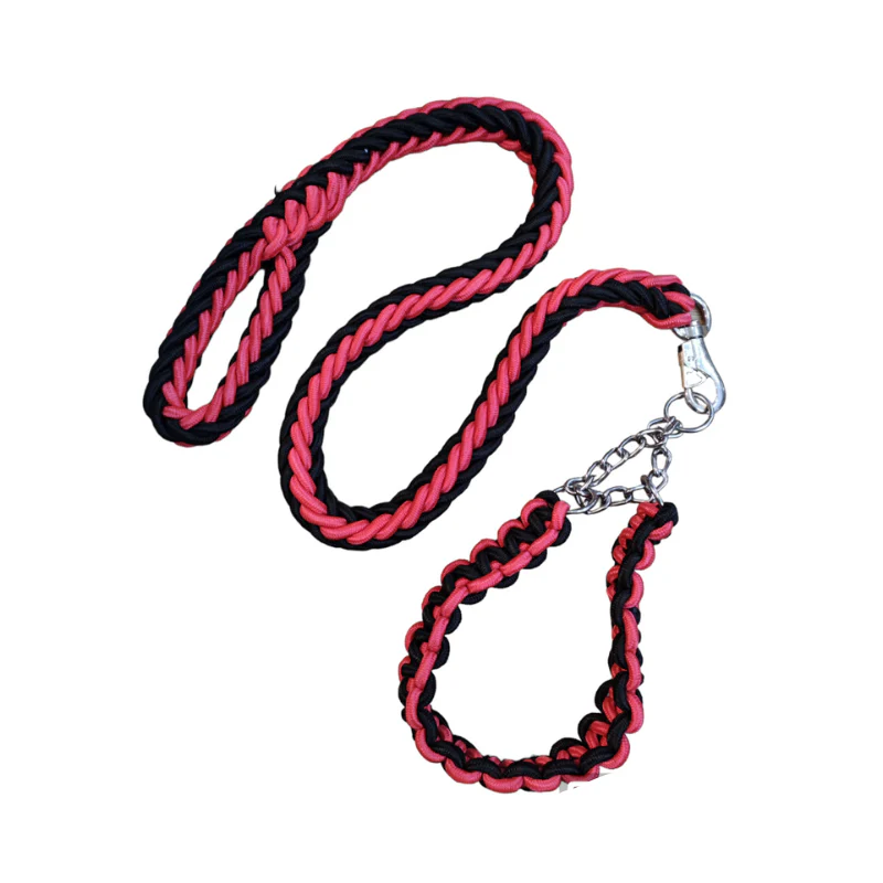 Laisse avec Collier pour Grand Chien