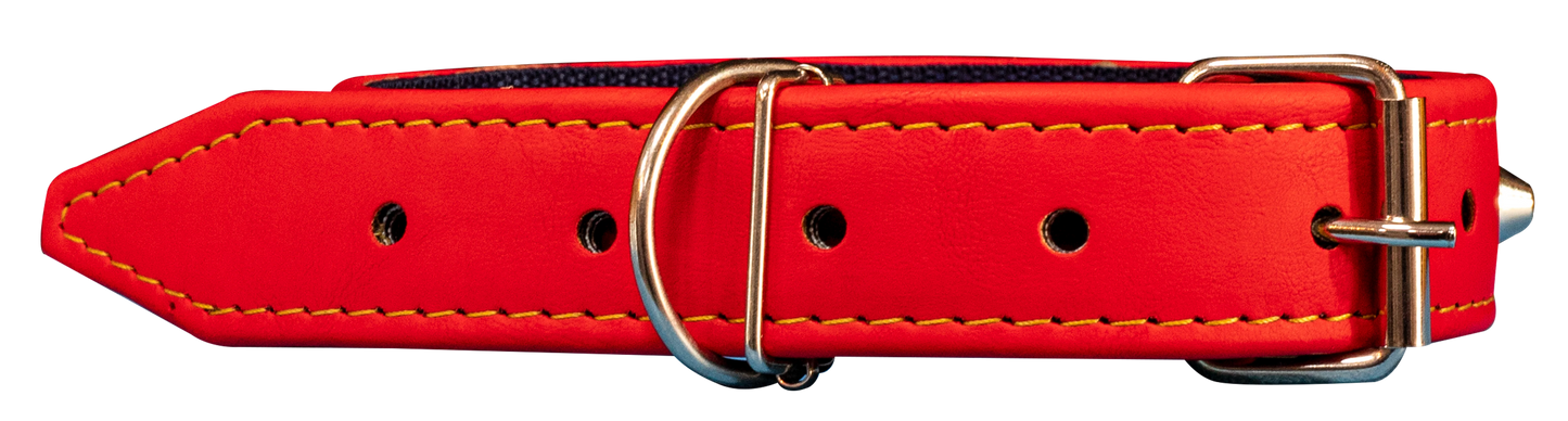 COLLIER EN CUIR POUR CHIEN CLOUTE DE PICS