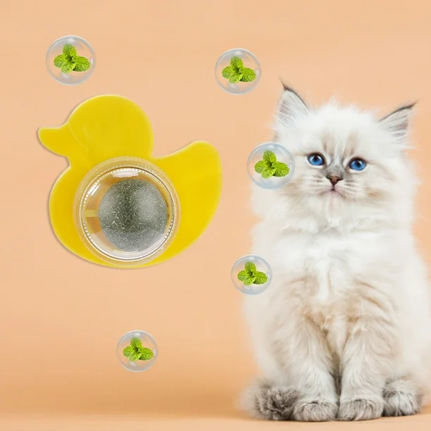 CANARD HERBE À CHAT