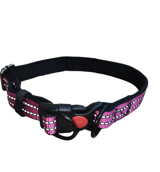 LAISSE + COLLIER POUR CHIENS