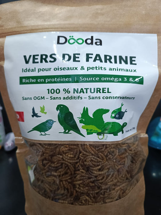 Vers de Farine Dooda 100g – Aliment Naturel pour Oiseaux et Petits Animaux