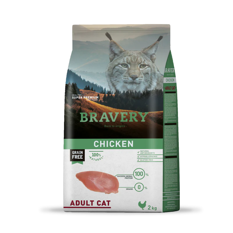 BRAVOURE - CROQUETTE CHAT