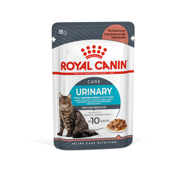 ROYAL CANIN - Pochon POUR CHAT - 85G (tout type de chat)