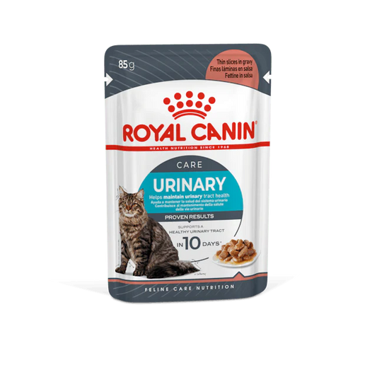 ROYAL CANIN - Pochon POUR CHAT - 85G  (tout type de chat)