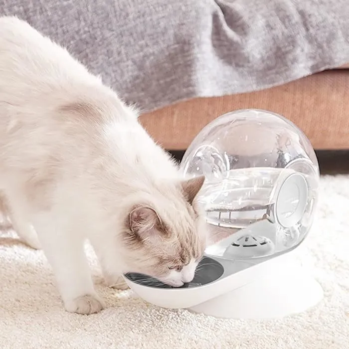 DISTRIBUTEUR D'EAU POUR CHAT ET CHIOT