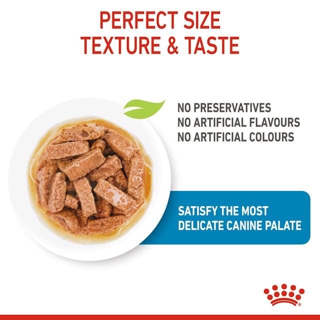 ROYAL CANIN – POCHON CHIOT MAXI – 140G