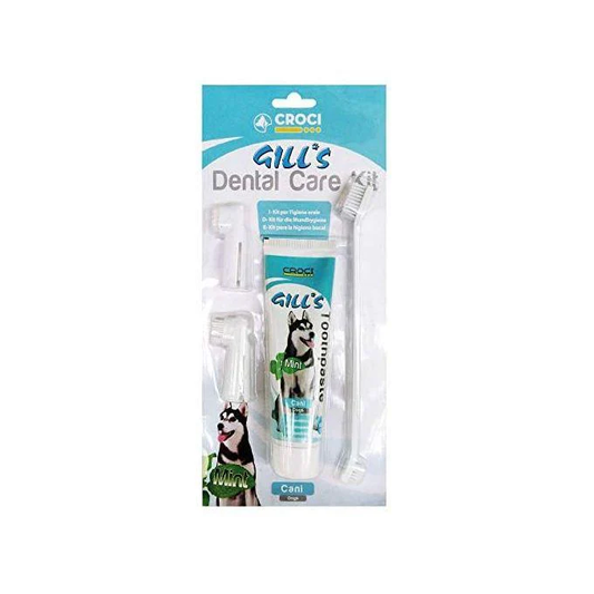 GILL'S – KIT SOIN DENTAIRE POUR CHIEN &amp; CHAT – MENTHE 