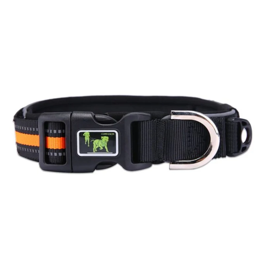COLLIER POUR CHIEN – ANTI-TRACTION