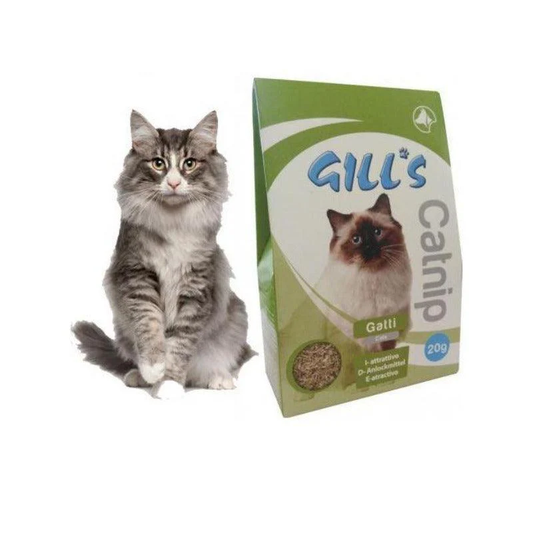 CROCI PLANTE HERBE À CHAT 20G 