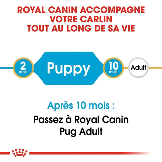 ROYAL CANIN – CROQUETTE CHIOT POUR CARLIN 