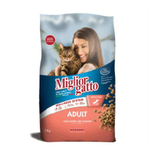 CHAT ADULTE MEILLEUR CHAT 
