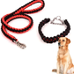 Laisse avec Collier pour Grand Chien