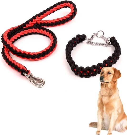 Laisse avec Collier pour Grand Chien