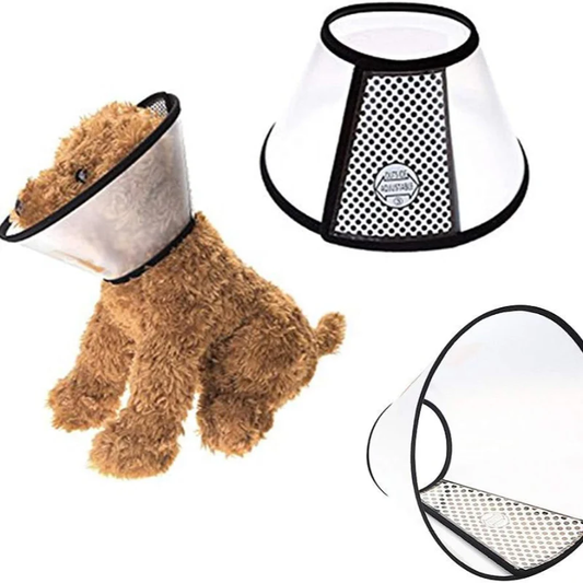 CARCAN POUR CHAT ET CHIEN