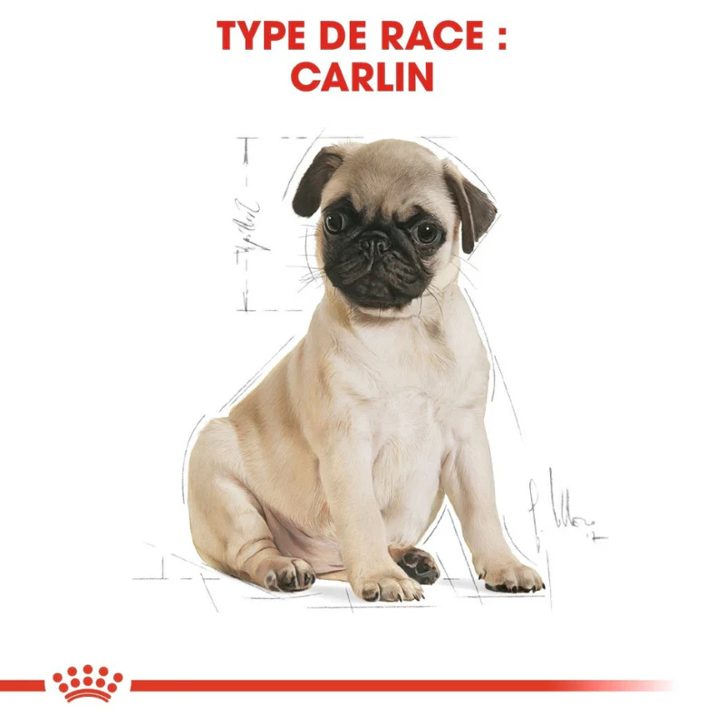 ROYAL CANIN - CARLIN ADULTE 1,5 KG