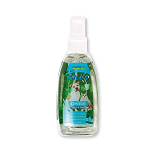 CROCI - DENTIFRICE DENTAIRE GILL'S EN SPRAY 100 ML 