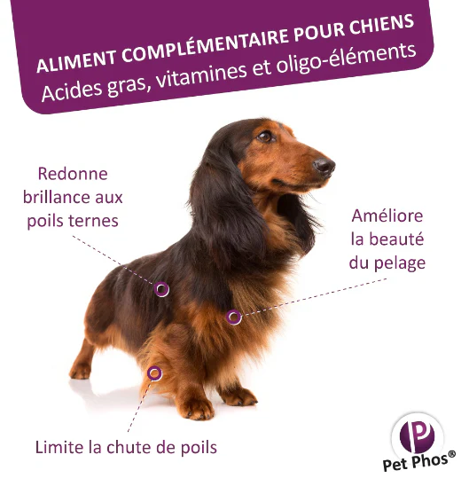PETPHOS PELAGE CHIEN 50 CPR 