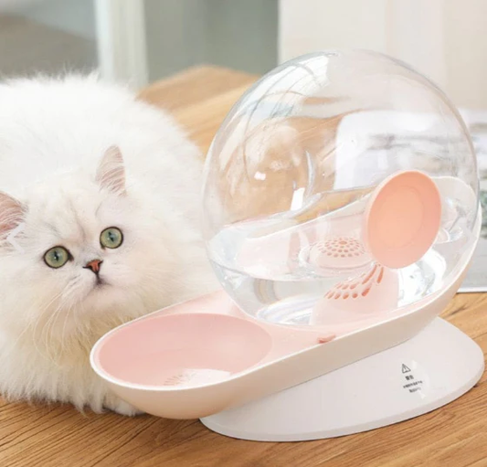 DISTRIBUTEUR D'EAU POUR CHAT ET CHIOT 
