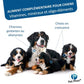 PETPHOS CROISSANCE GRAND CHIEN CAP/P=2 100 CPR 