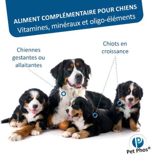 PETPHOS CROISSANCE GRAND CHIEN CAP/P=2 100 CPR 