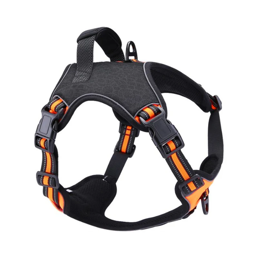 HARNAIS POUR CHIEN
