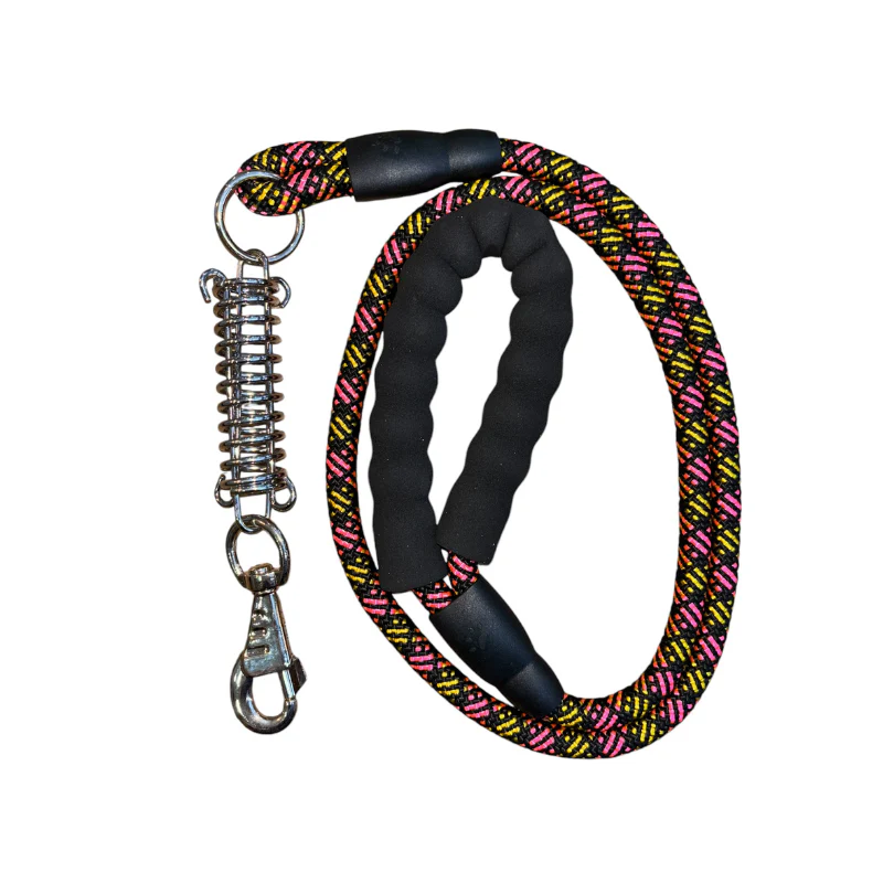 LAISSE POUR CHIEN AVEC RESSORT 