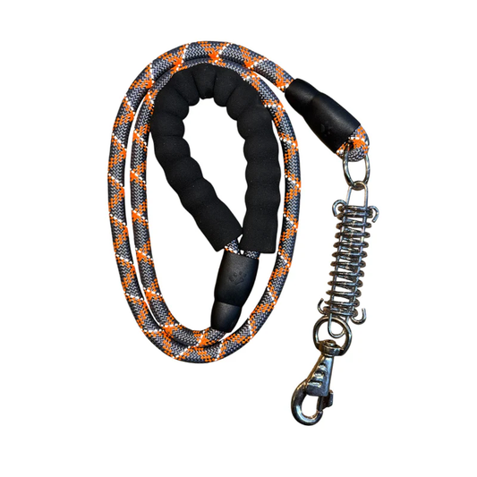 LAISSE POUR CHIEN AVEC RESSORT 