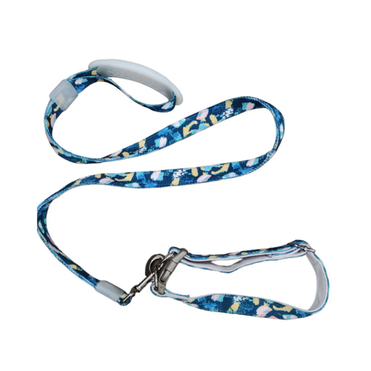 ABD – LAISSE AVEC COLLIER POUR CHIEN LARGE