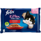 Pack PURINA FELIX X4 