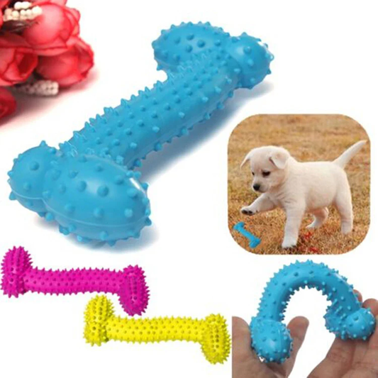 JOUET LATEX POUR CHIEN MINI 