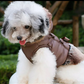 MANTEAU D'HIVER CHAUD POUR CHIEN - TAILLE S