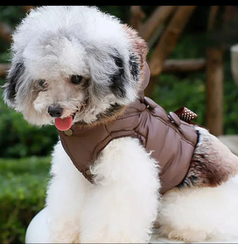 MANTEAU D'HIVER CHAUD POUR CHIEN - TAILLE S