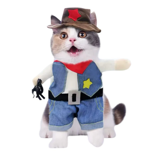 COSTUME COWBOY