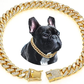 GOLDOGGY – COLLIER STRASS POUR CHIEN
