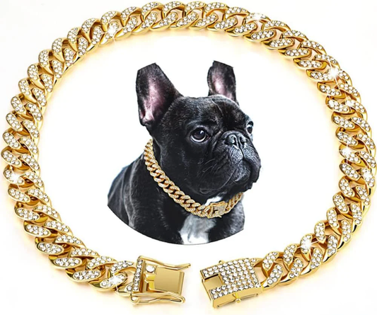 GOLDOGGY – COLLIER STRASS POUR CHIEN
