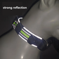 COLLIER POUR CHIEN – ANTI-TRACTION