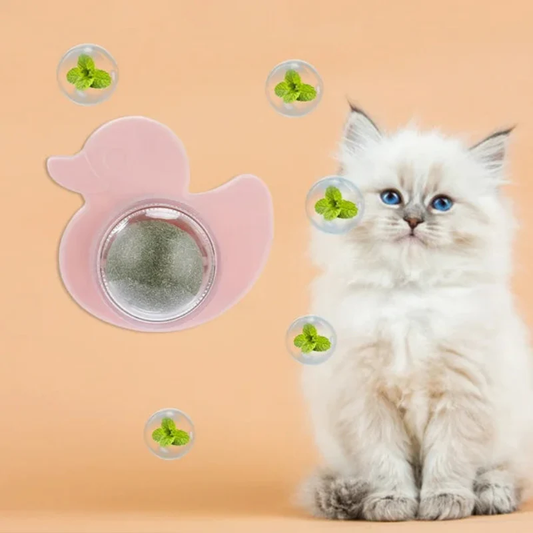 CANARD HERBE À CHAT