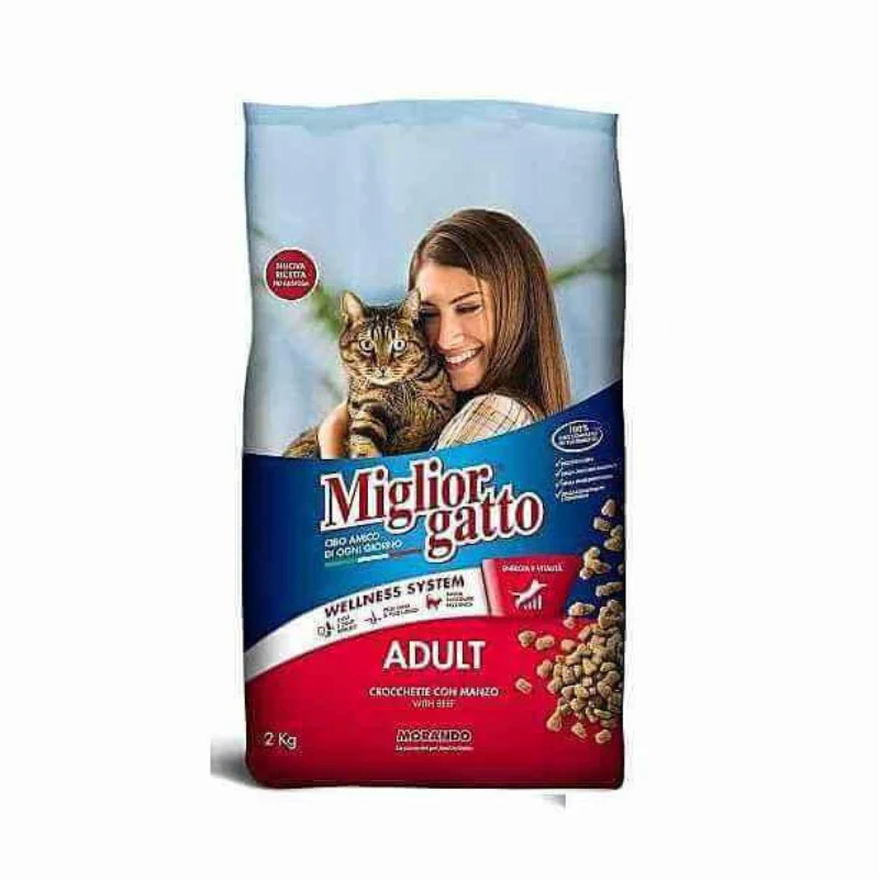 CHAT ADULTE MEILLEUR CHAT 