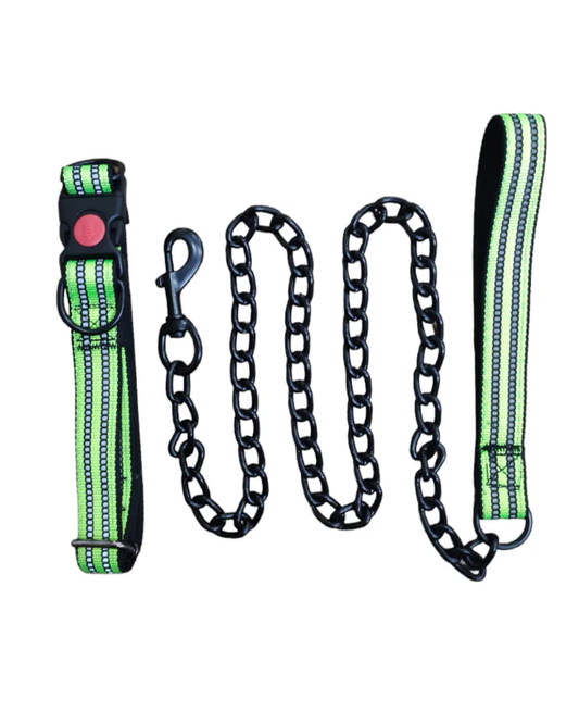 LAISSE + COLLIER POUR CHIENS