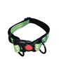 LAISSE + COLLIER POUR CHIENS