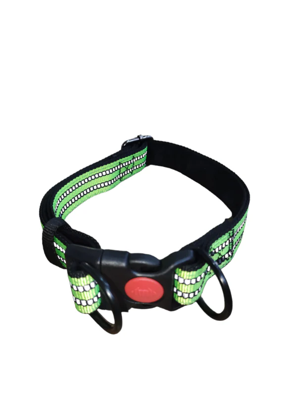 LAISSE + COLLIER POUR CHIENS